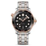 Seamaster Diver 300 Two Tone with Black Dial (42mm) Super Clone